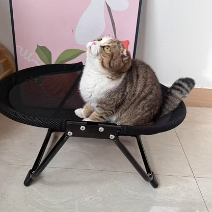 Elevated Pet Bed with Mesh Platform