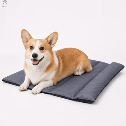 Padded Pet Mat with Raised Bolster